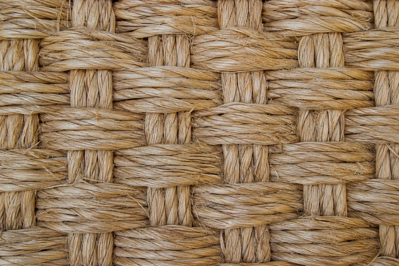 Sisal fiber close-up