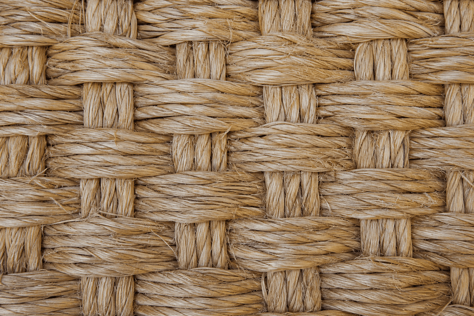 Sisal fiber close-up