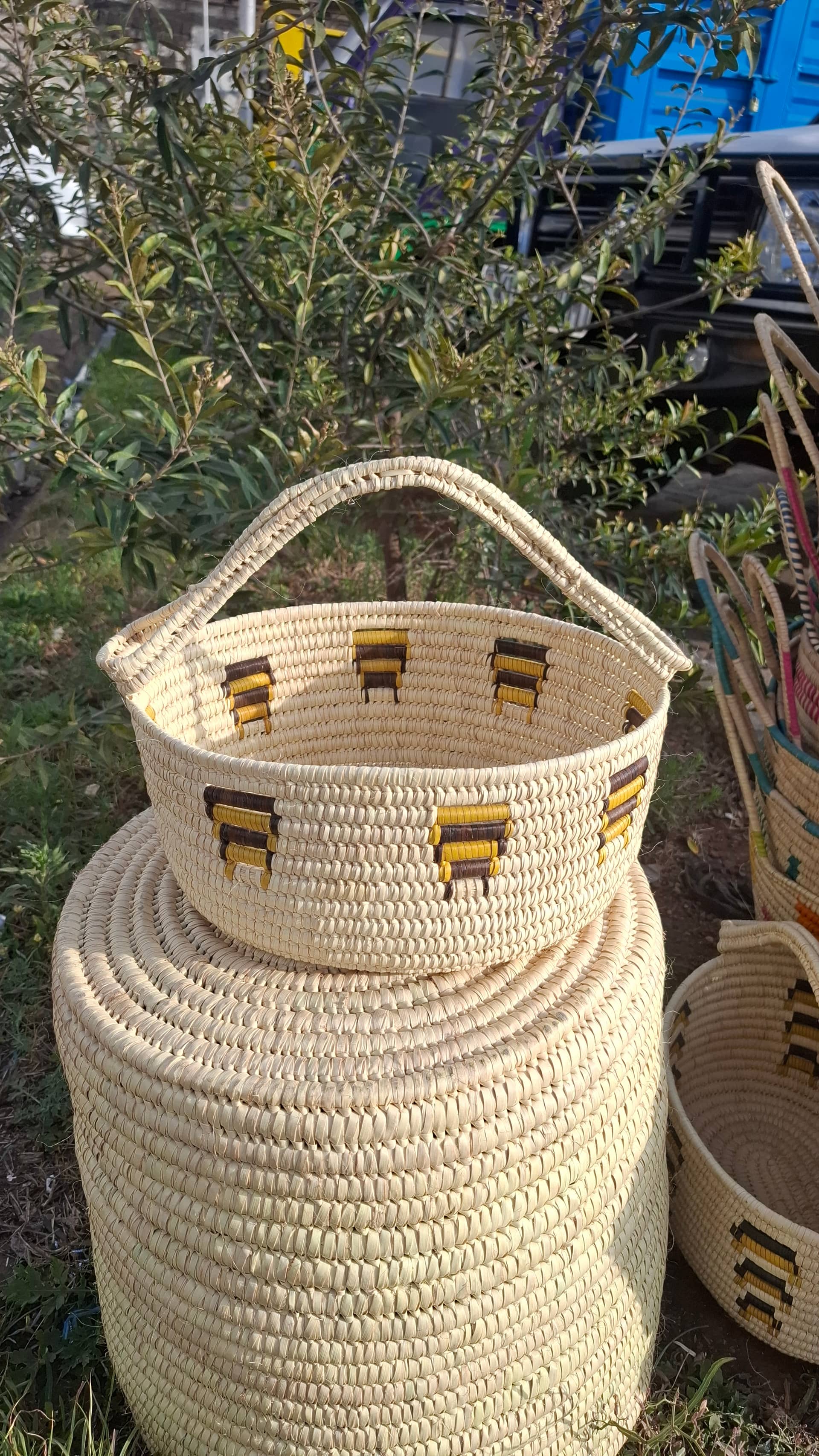 Fruit basket